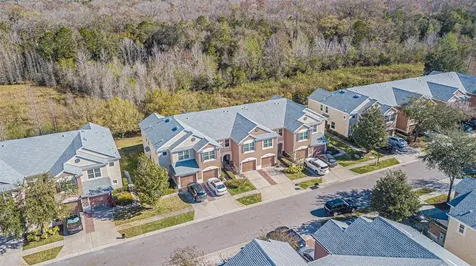 26544 Castleview Way Wesley Chapel FL 33544