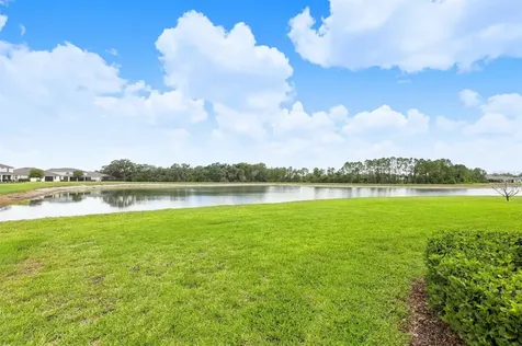 10708 Planer Picket Drive Riverview FL 33569