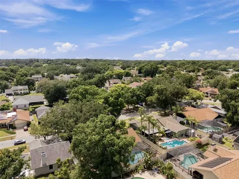 2721 Briarpatch Drive Valrico FL 33596