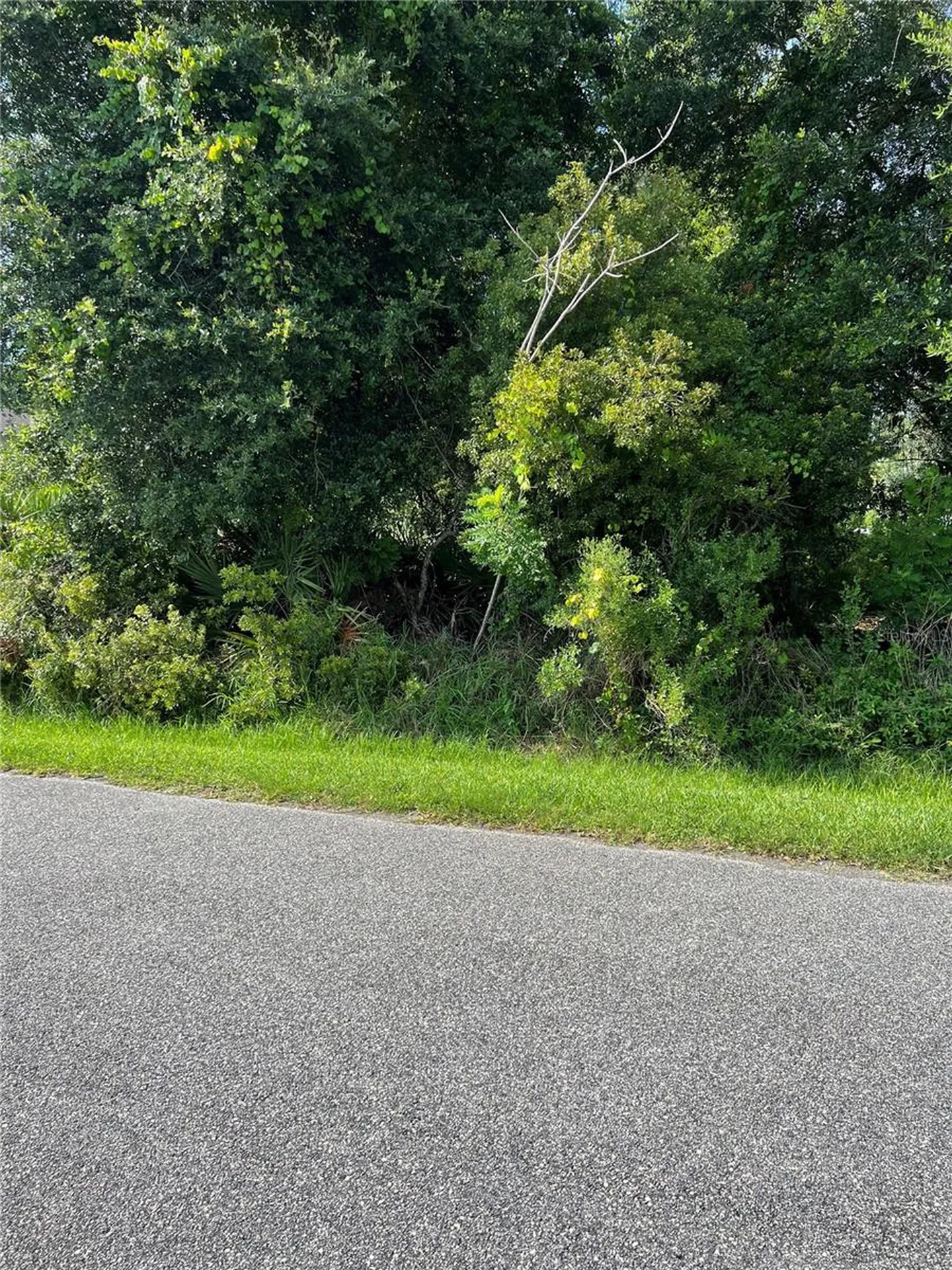 10 Buffalo Meadow Lane Palm Coast FL 32137