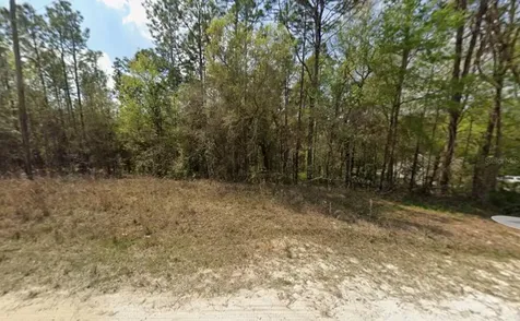 SW 45th Lane Road Ocala FL 34481