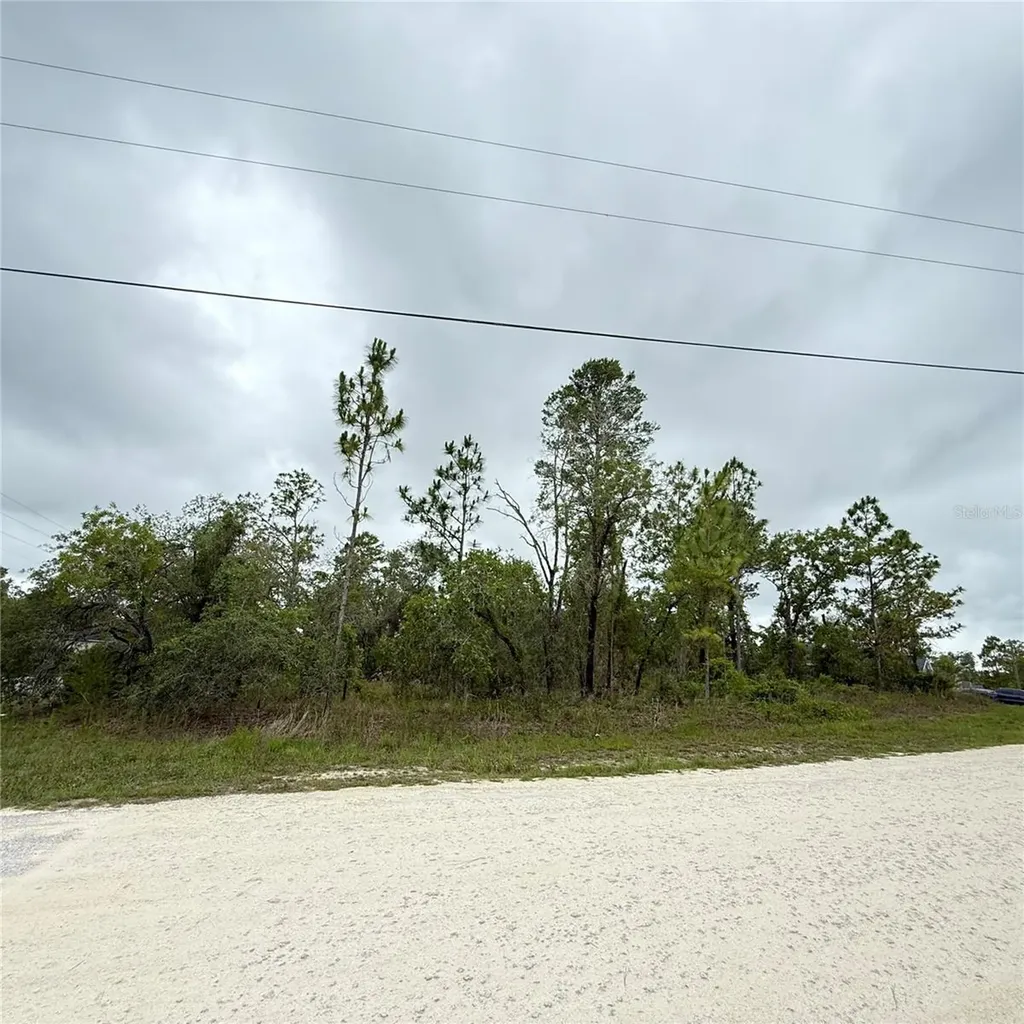 11200 Marvelwood Road Weeki Wachee FL 34614