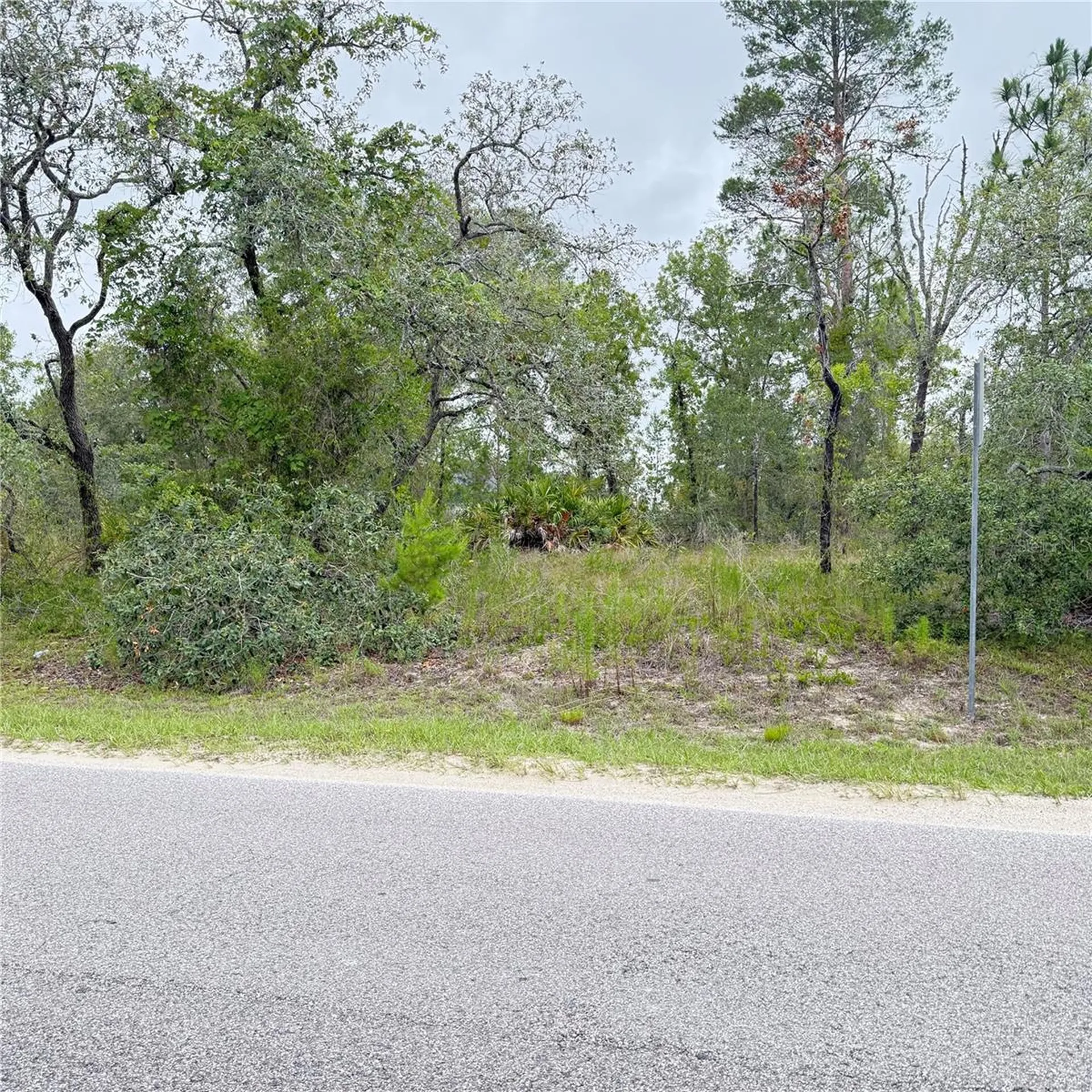 11200 Marvelwood Road Weeki Wachee FL 34614