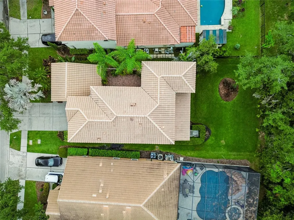 20338 Chestnut Grove Drive Tampa FL 33647