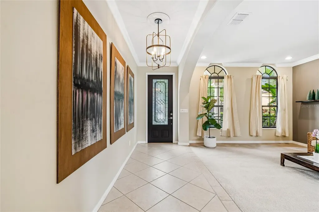 20338 Chestnut Grove Drive Tampa FL 33647