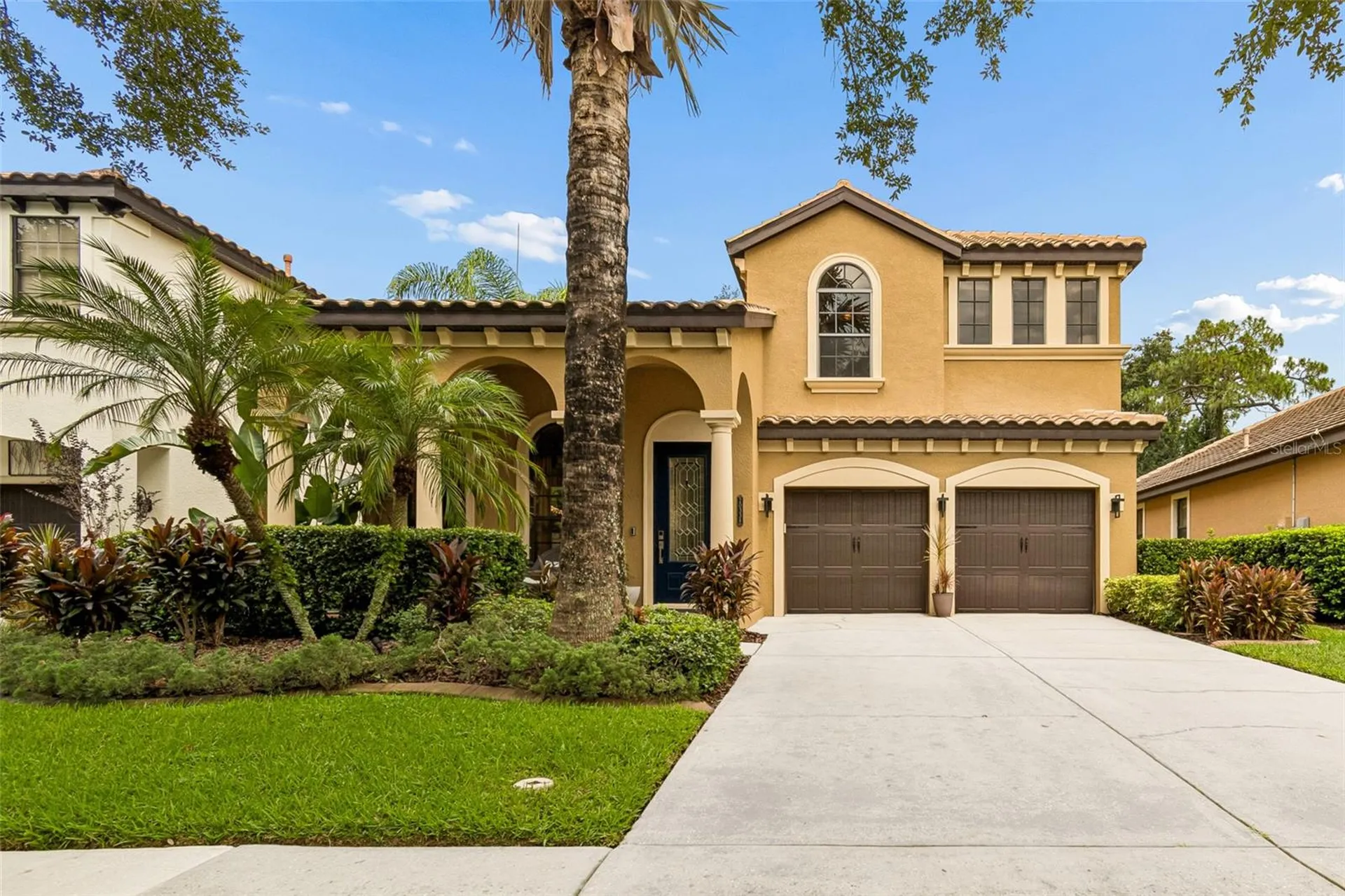 20338 Chestnut Grove Drive Tampa FL 33647