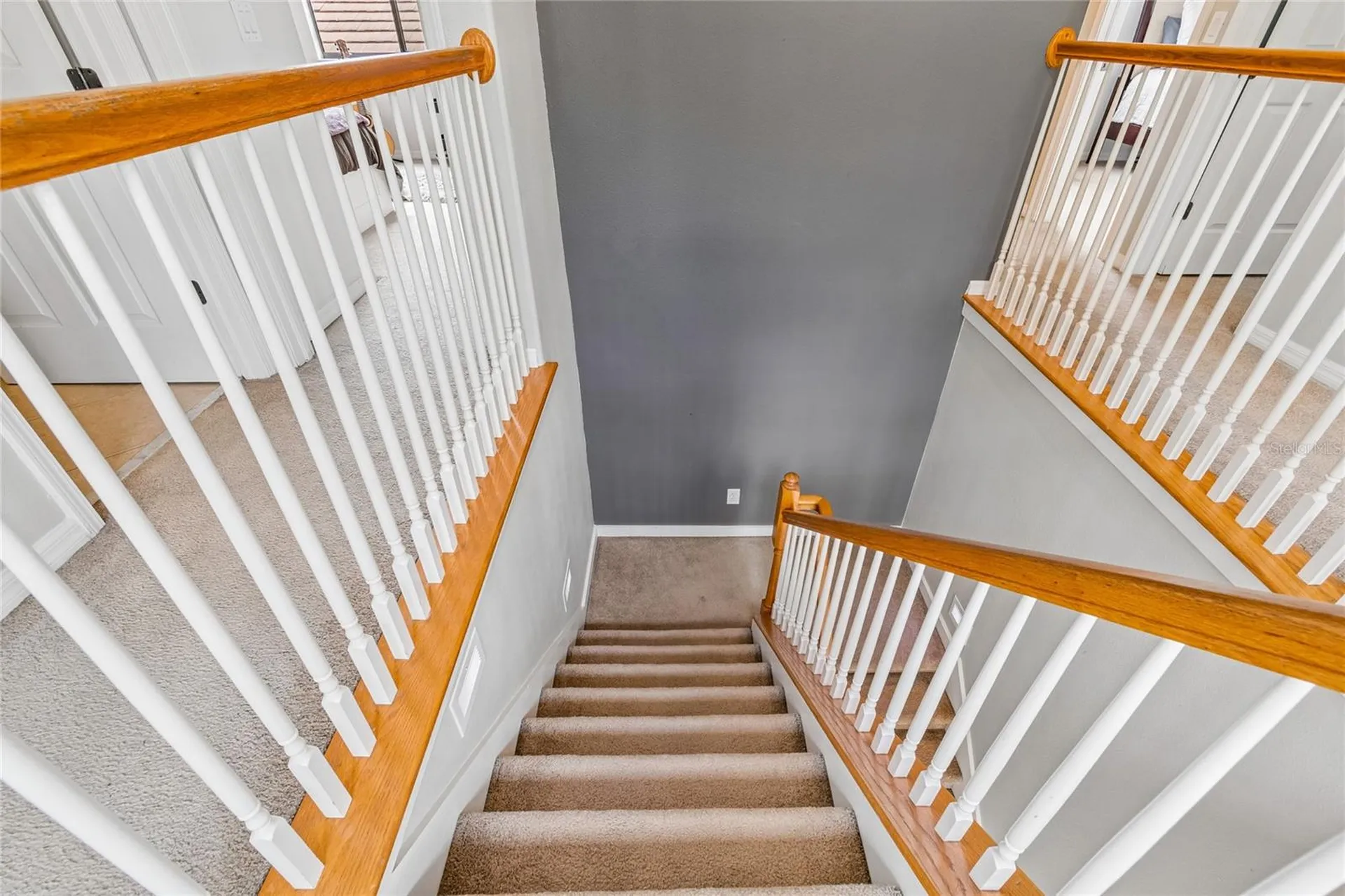 20338 Chestnut Grove Drive Tampa FL 33647