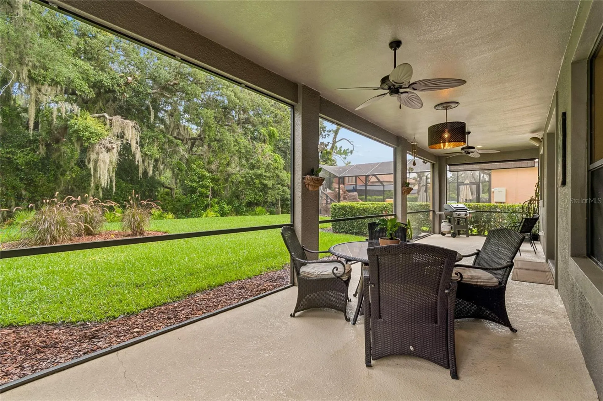 20338 Chestnut Grove Drive Tampa FL 33647