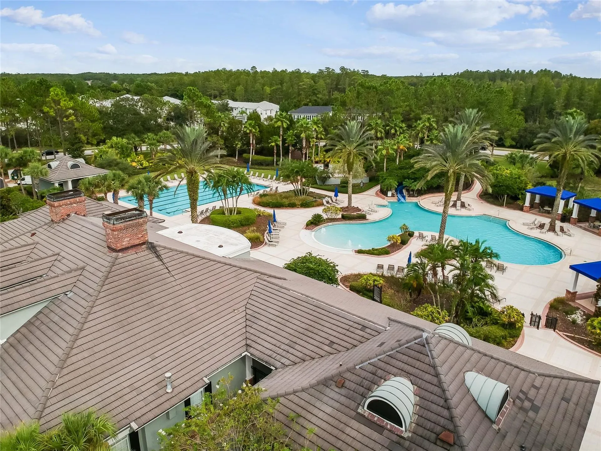 20338 Chestnut Grove Drive Tampa FL 33647