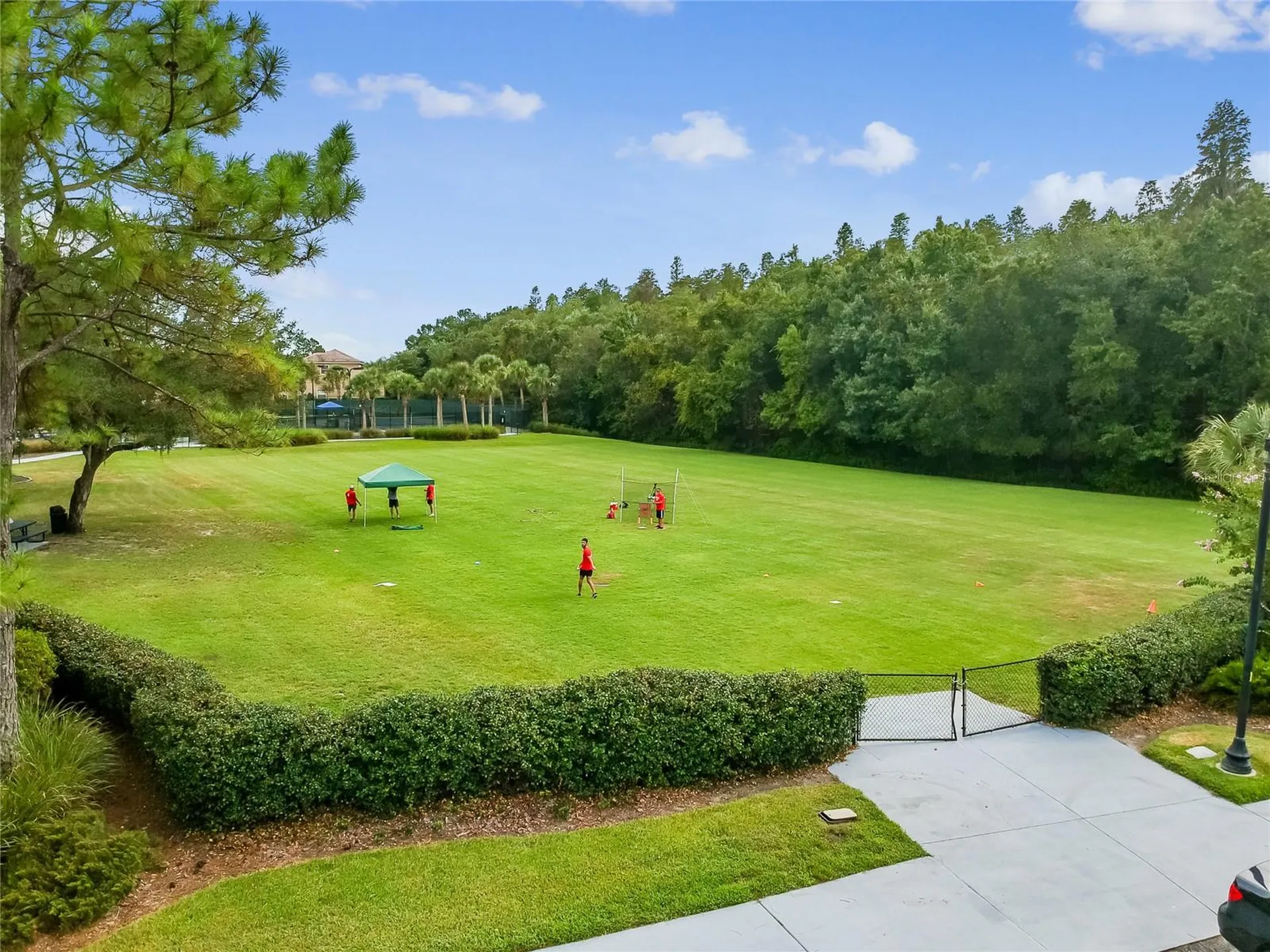 20338 Chestnut Grove Drive Tampa FL 33647