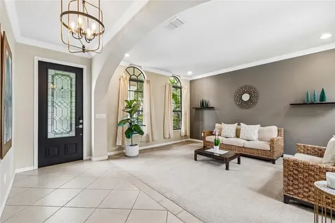 20338 Chestnut Grove Drive Tampa FL 33647