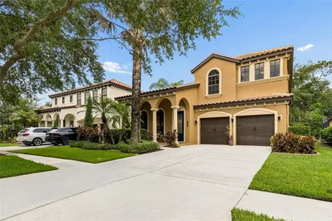 20338 Chestnut Grove Drive Tampa FL 33647
