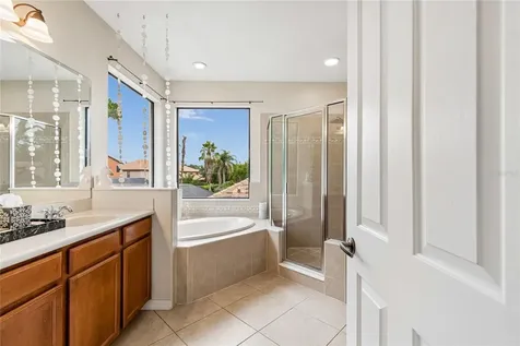 20338 Chestnut Grove Drive Tampa FL 33647