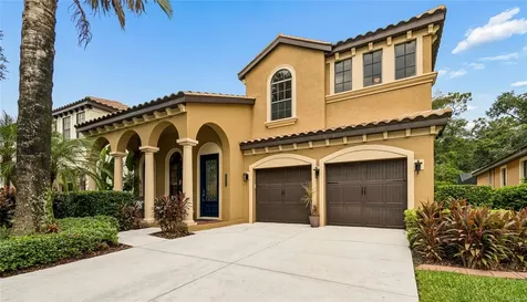 20338 Chestnut Grove Drive Tampa FL 33647