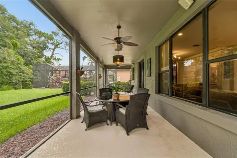 20338 Chestnut Grove Drive Tampa FL 33647