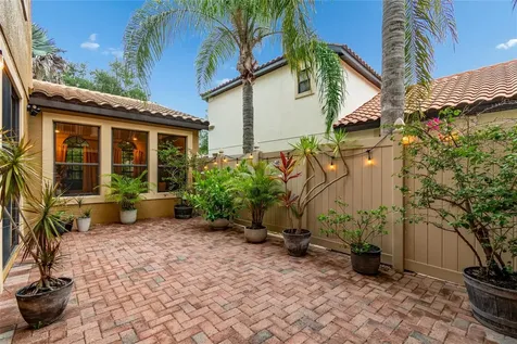 20338 Chestnut Grove Drive Tampa FL 33647