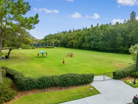 20338 Chestnut Grove Drive Tampa FL 33647