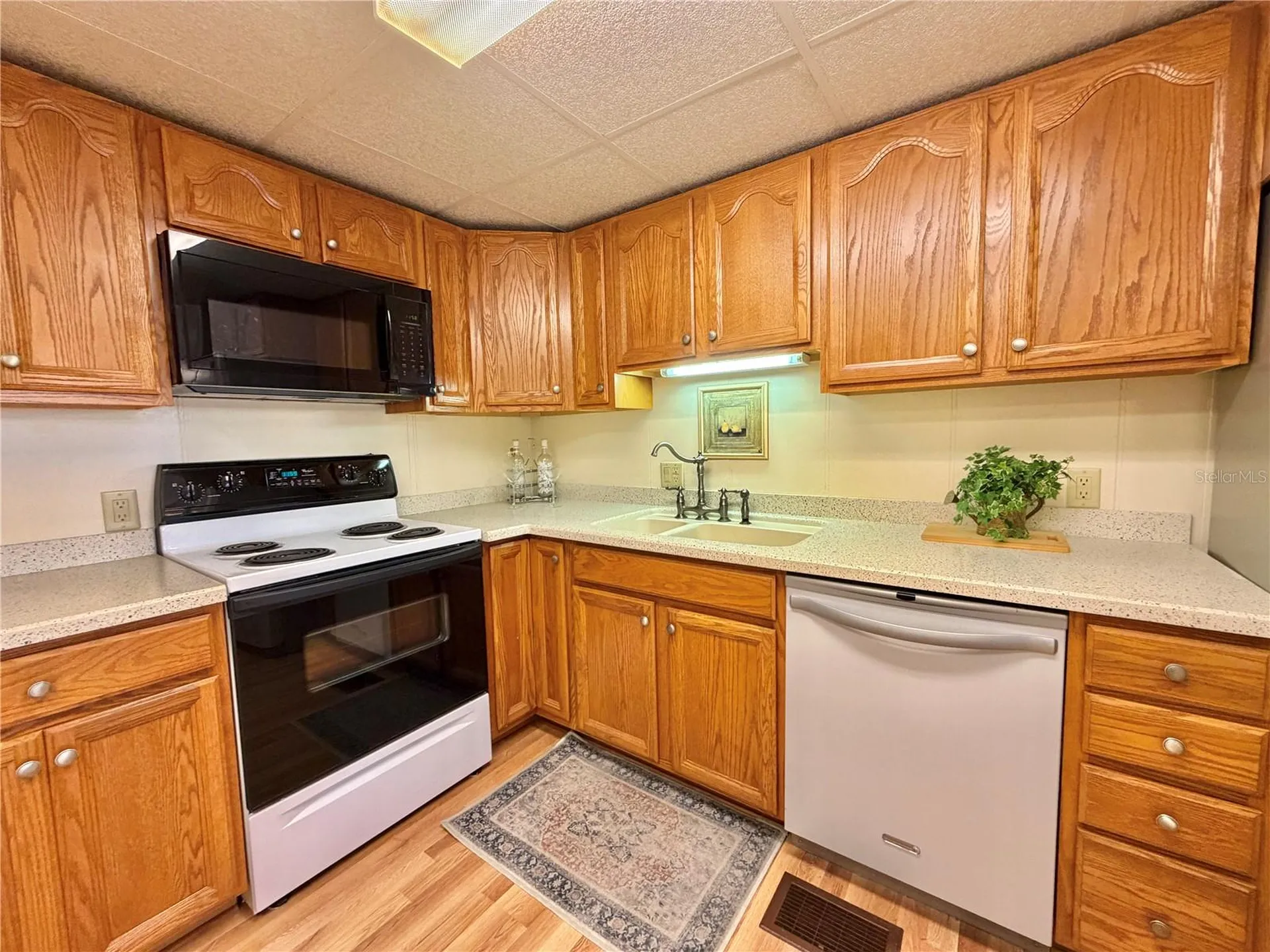115 Gardenia Way Leesburg FL 34748