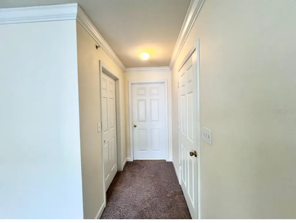 18469 Bridle Club Drive Tampa FL 33647