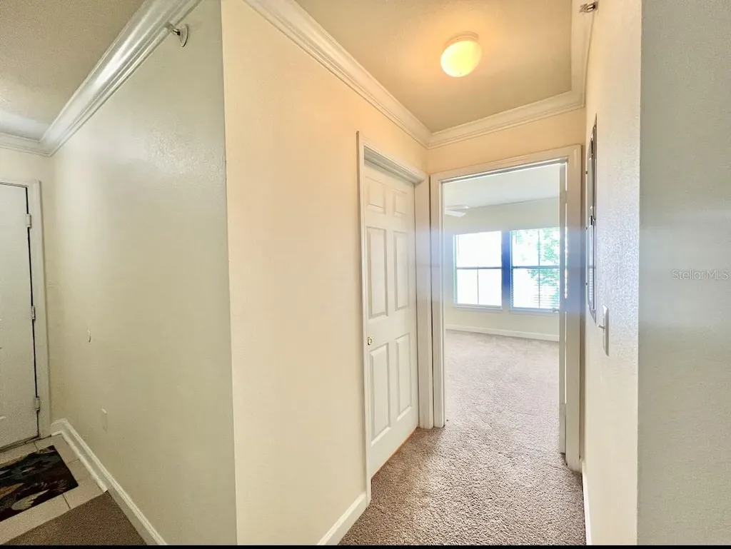 18469 Bridle Club Drive Tampa FL 33647