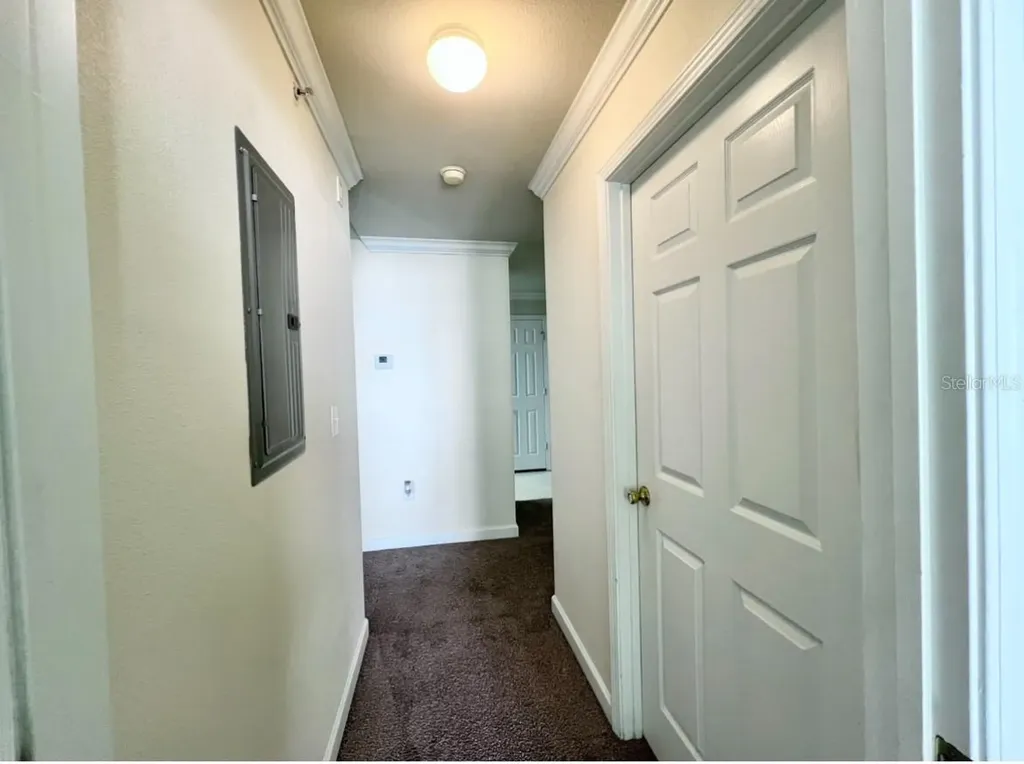 18469 Bridle Club Drive Tampa FL 33647