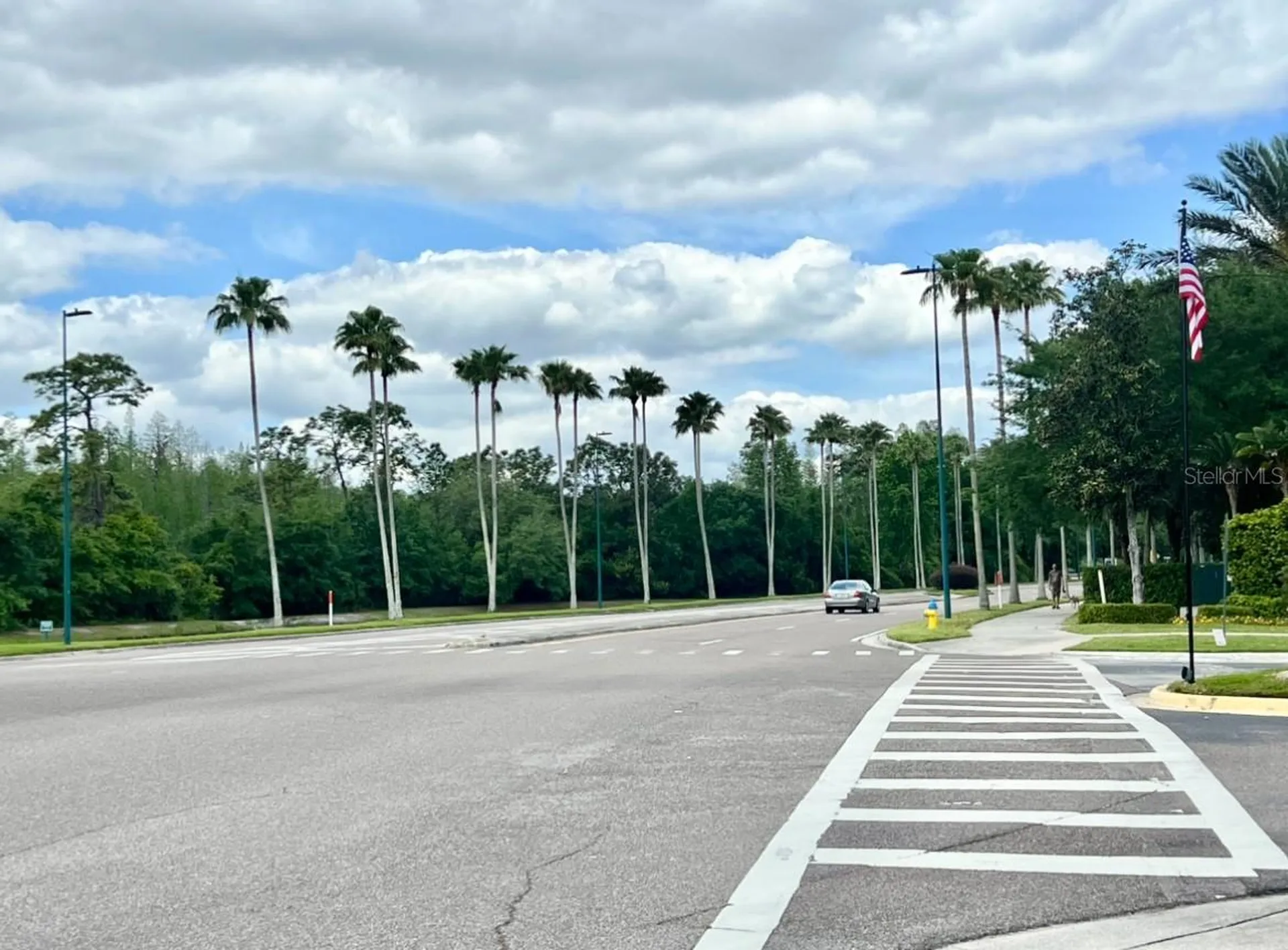 18469 Bridle Club Drive Tampa FL 33647