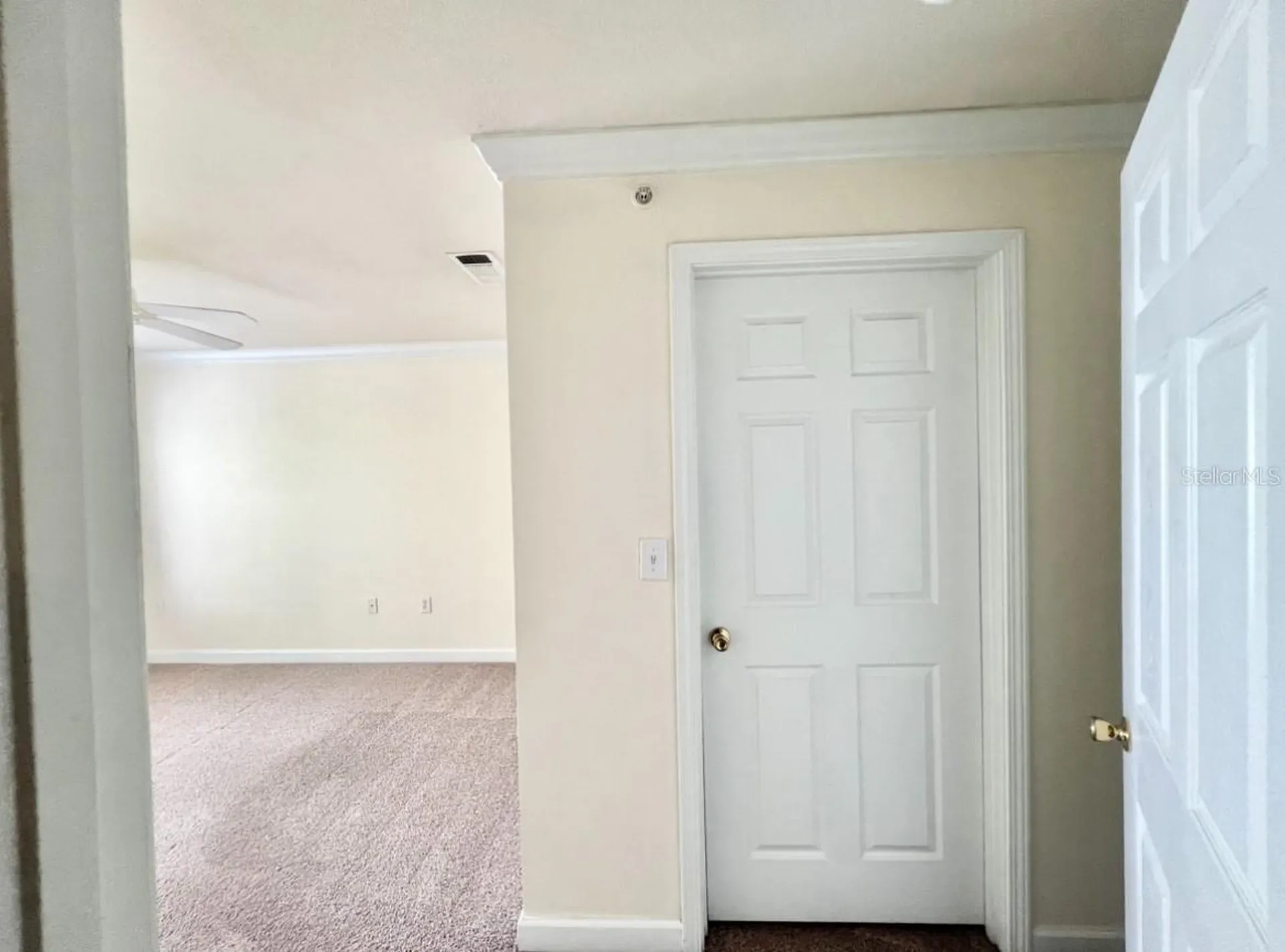 18469 Bridle Club Drive Tampa FL 33647