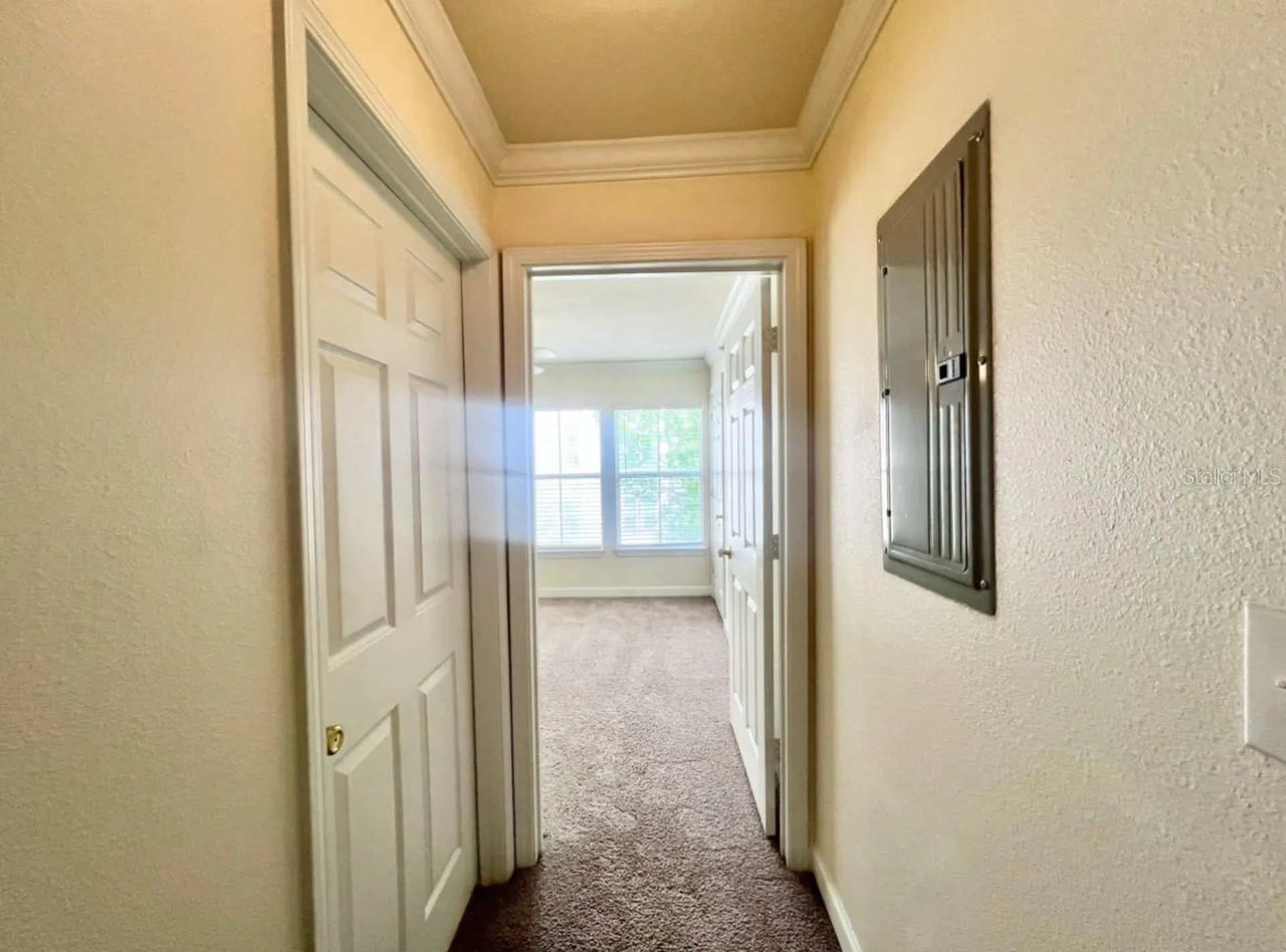 18469 Bridle Club Drive Tampa FL 33647