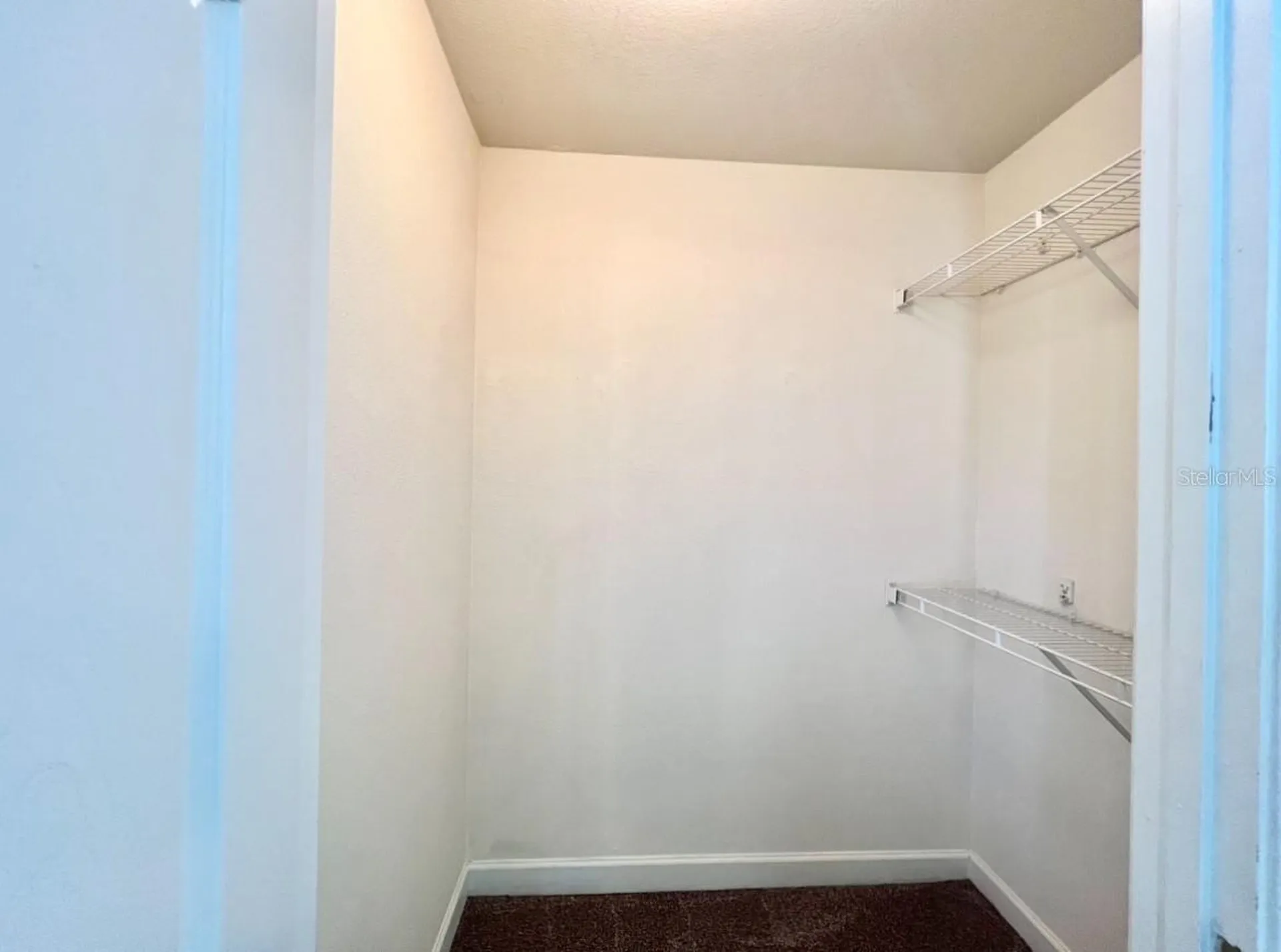 18469 Bridle Club Drive Tampa FL 33647