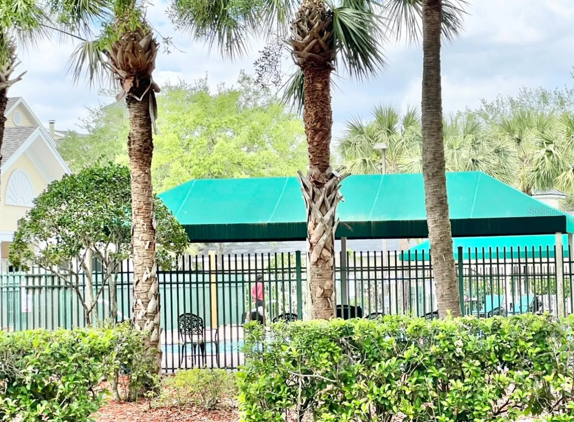 18469 Bridle Club Drive Tampa FL 33647