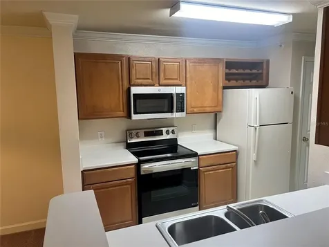 18469 Bridle Club Drive Tampa FL 33647