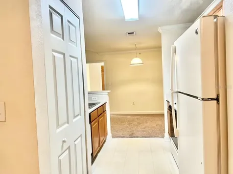 18469 Bridle Club Drive Tampa FL 33647