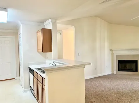 18469 Bridle Club Drive Tampa FL 33647