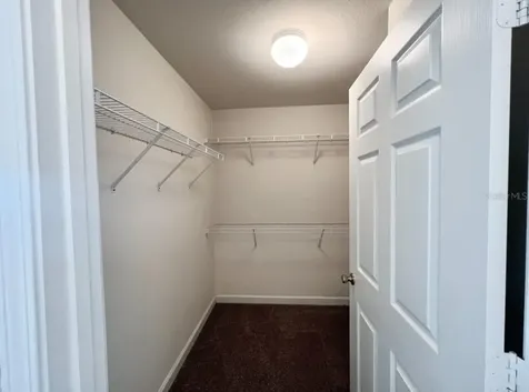 18469 Bridle Club Drive Tampa FL 33647