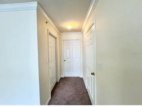 18469 Bridle Club Drive Tampa FL 33647
