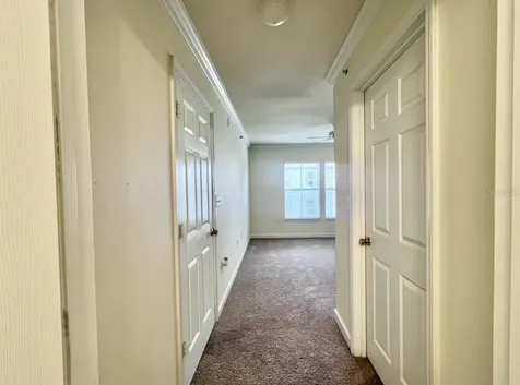 18469 Bridle Club Drive Tampa FL 33647