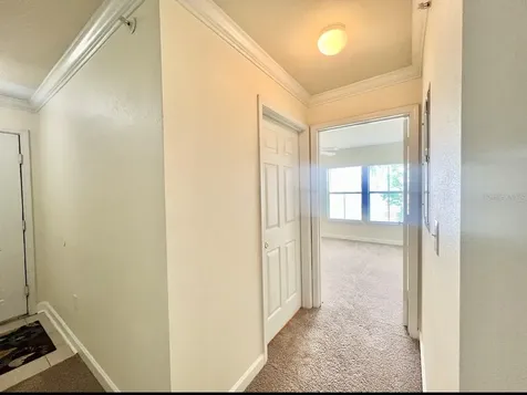 18469 Bridle Club Drive Tampa FL 33647