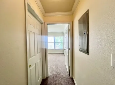 18469 Bridle Club Drive Tampa FL 33647