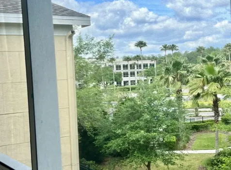 18469 Bridle Club Drive Tampa FL 33647