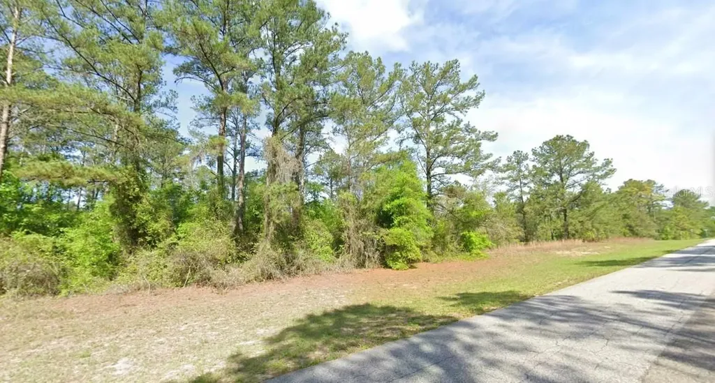 1495 E Citrus Springs Boulevard Citrus Springs FL 34434