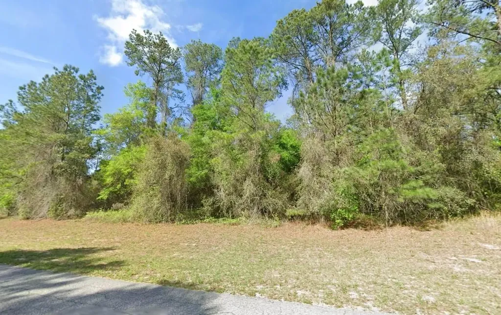 1495 E Citrus Springs Boulevard Citrus Springs FL 34434