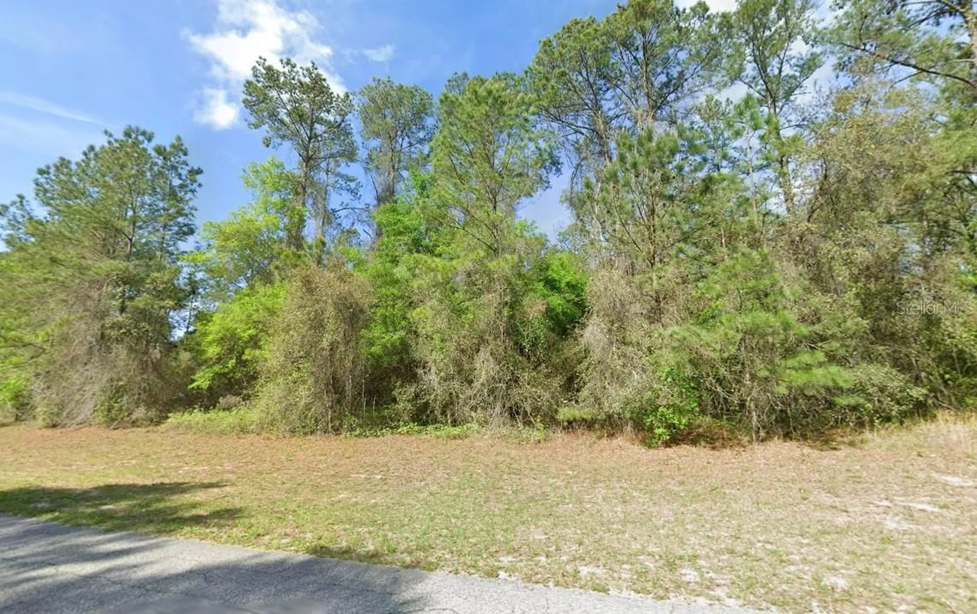 1495 E Citrus Springs Boulevard Citrus Springs FL 34434