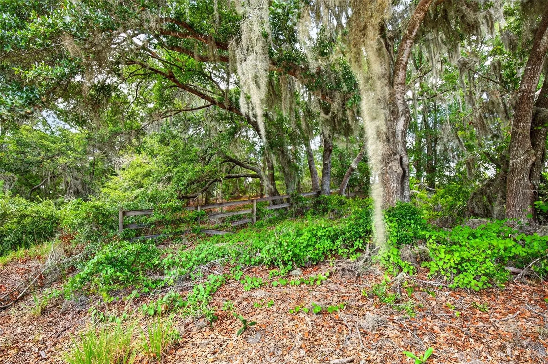 Malauka Loop Ocklawaha FL 32179
