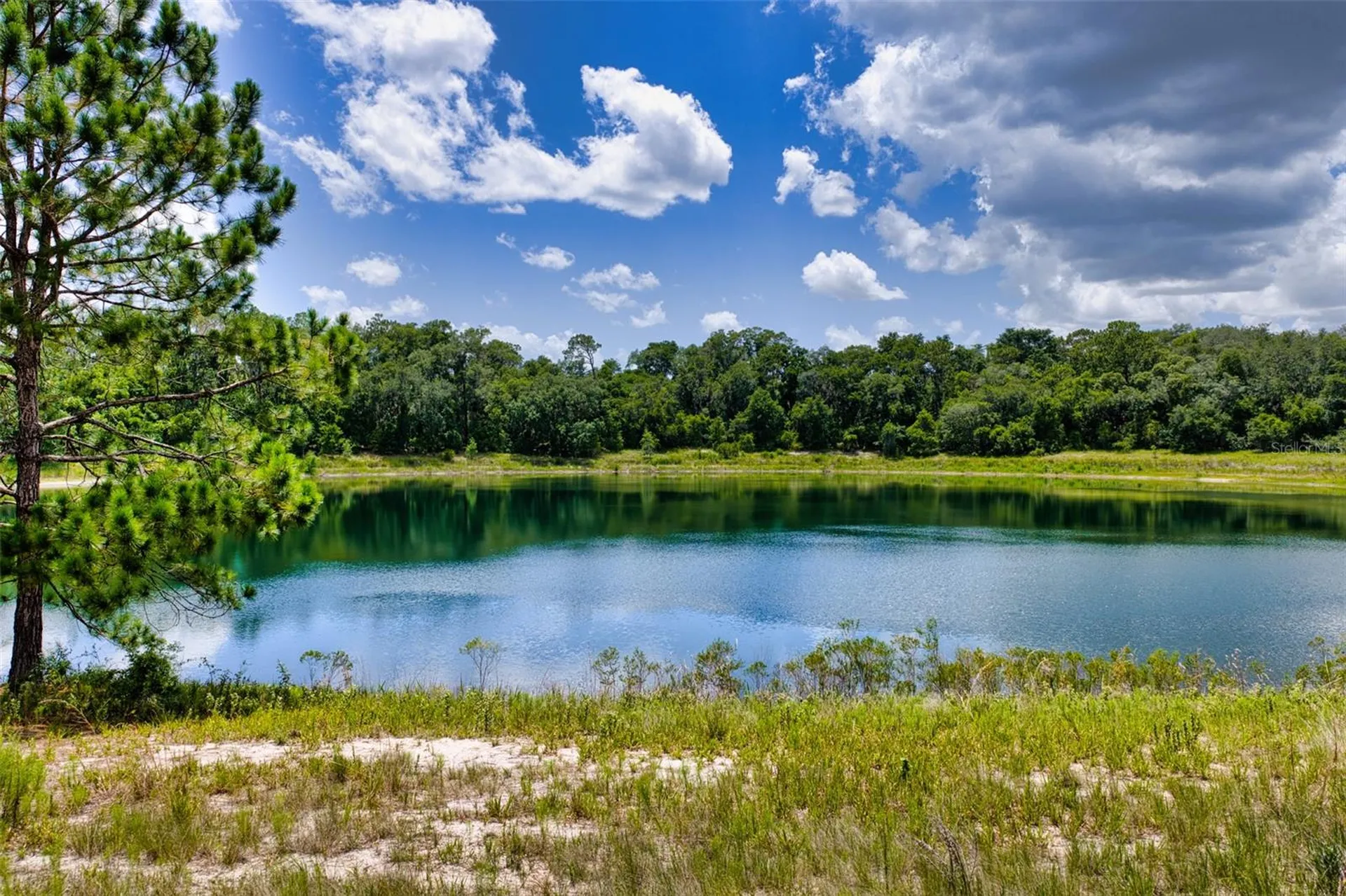 Malauka Loop Ocklawaha FL 32179