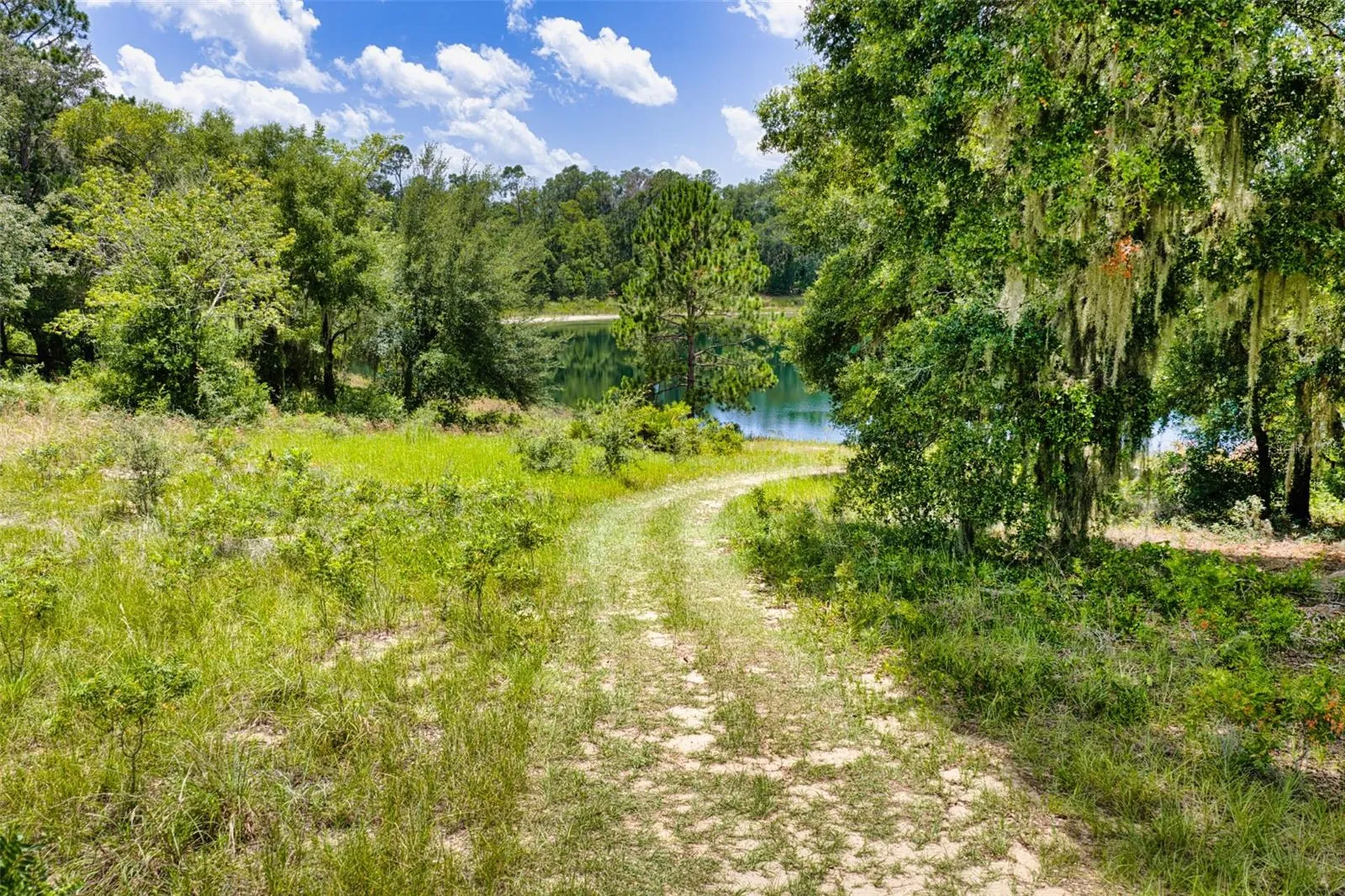 Malauka Loop Ocklawaha FL 32179