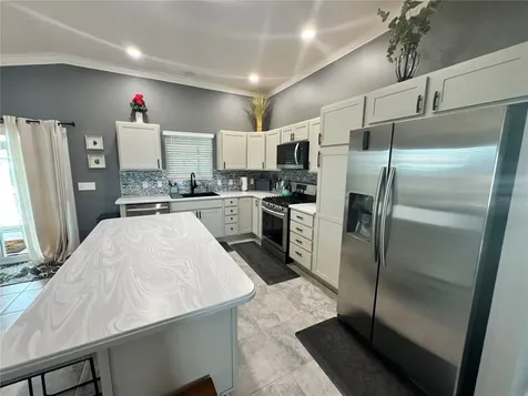 1715 Schau Street The Villages FL 32163