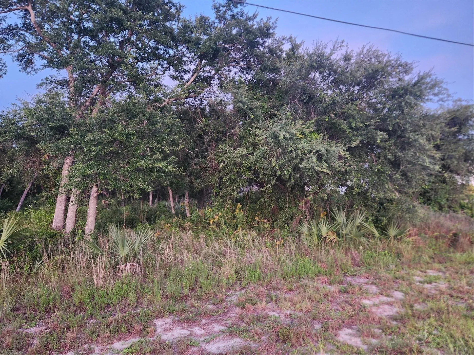 2164 Peasley Street Port Charlotte FL 33948