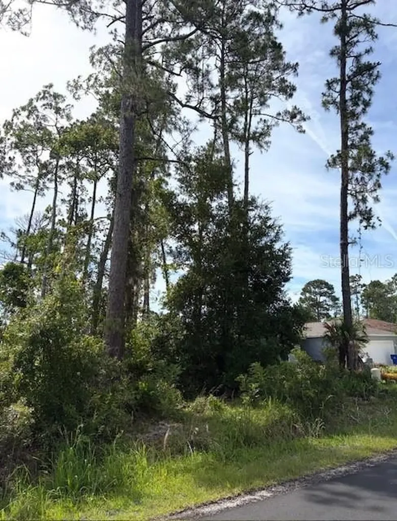 5TH Avenue Deland FL 32724
