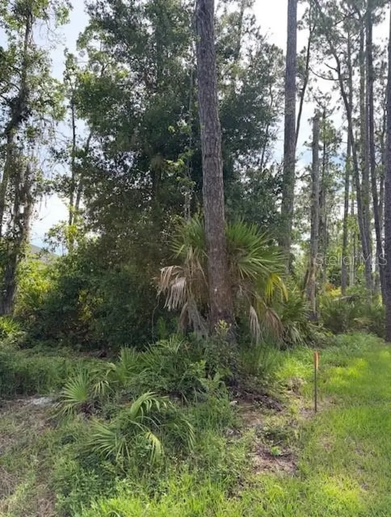 5TH Avenue Deland FL 32724