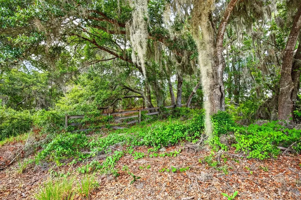 Malauka Loop Ocklawaha FL 32179